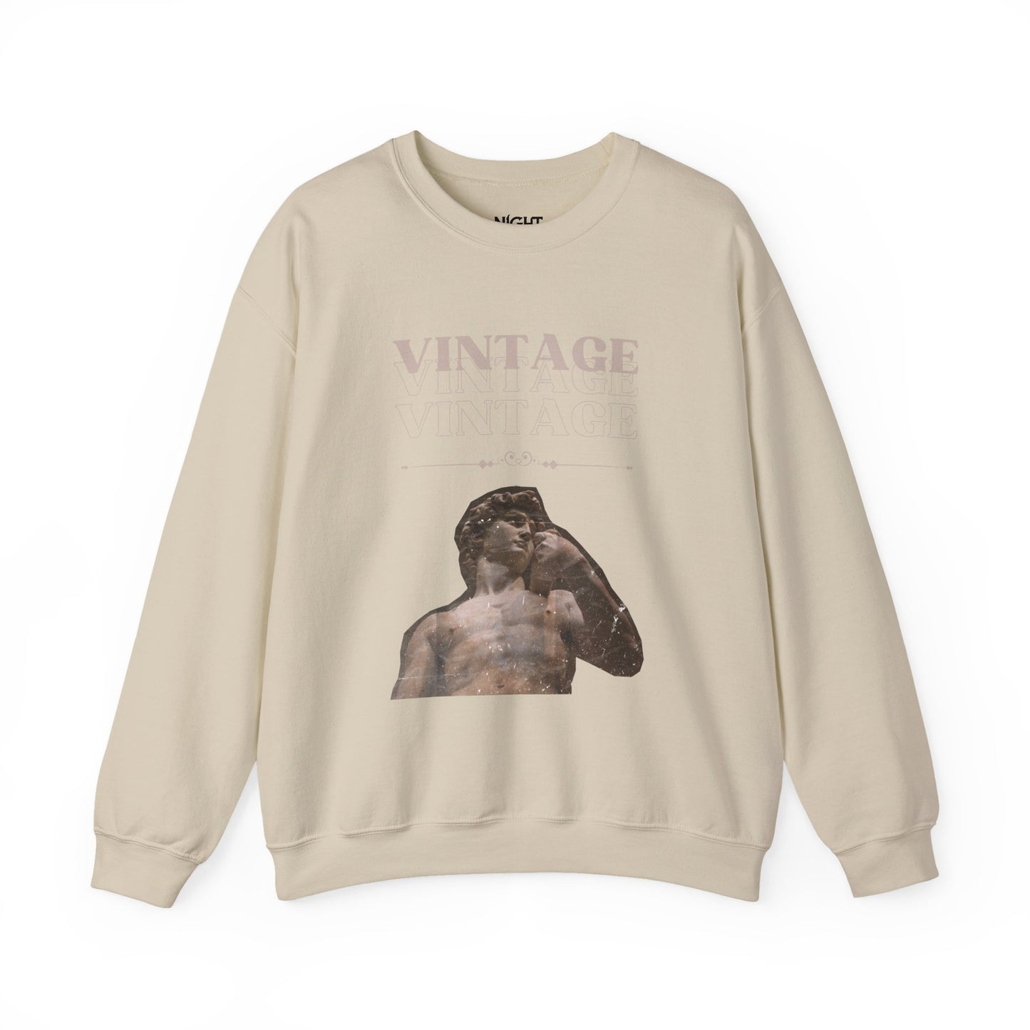 Vintage DAVID Statue Graphic Sweatshirt